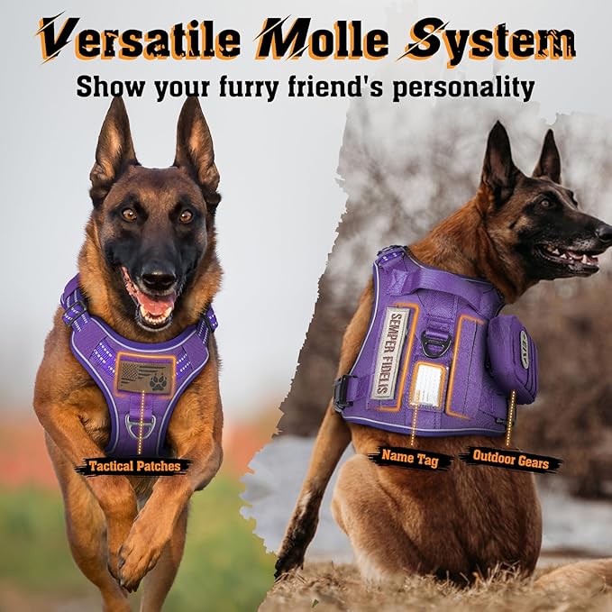rabbitgoo Dog Harness for Large Dogs No Pull, Tactical Service Dog Vest with Molle and Control Handle, Adjustable and Reflective Military Pet Harness for Easy Walking and Training, Purple, L