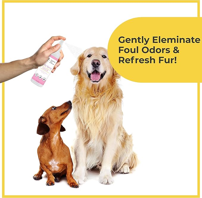 Premium Dog Deodorant Spray - Long Lasting Pet Odor Eliminator - Refreshing Dog Deodorizer Spray for Grooming - Pina Colada