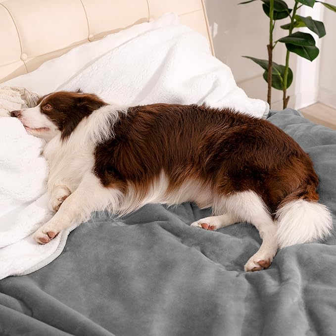 gogobunny Waterproof Bed Blanket, Reversible Sherpa Fleece Throw Blanket for Dog Puppy Cat, Furniture Cover Protects Bed Couch Sofa from Liquid Pee and Pet Fur (Grey, 60x80 inches)
