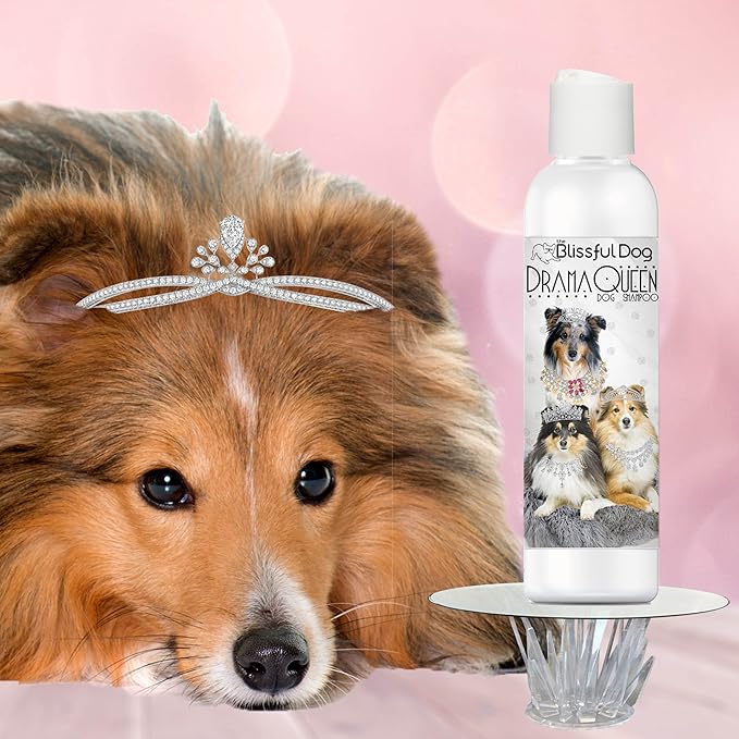 The Blissful Dog Shetland Sheepdog Drama Queen Dog Shampoo, 8 oz.