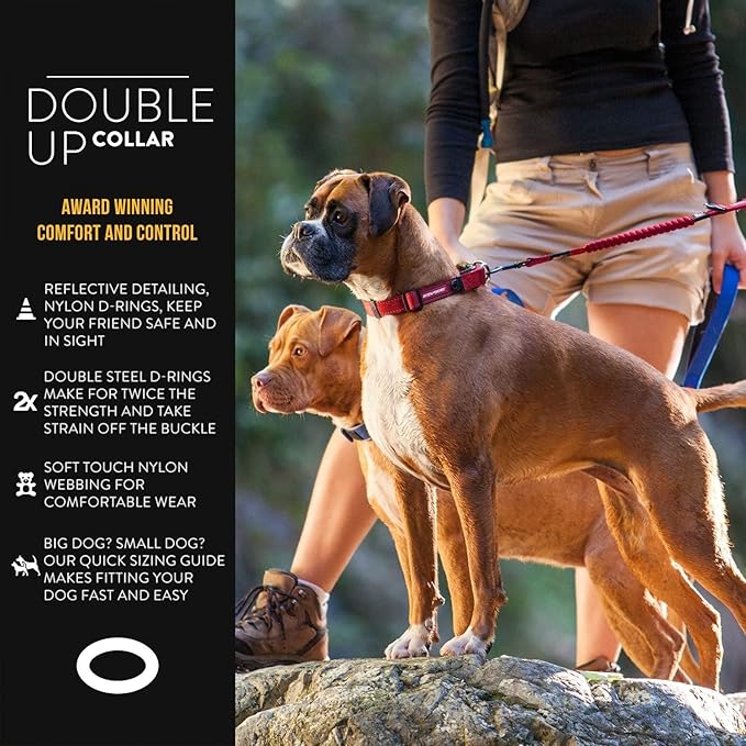 EzyDog Double Up Premium Nylon Dog Collar with Reflective Stitching - Double D-Rings for Superior Strength, Safety, and Comfortability - Non-Rusting and Includes an ID Attachment (Medium, Black)