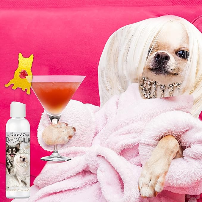 The Blissful Dog Chihuahua Drama Queen Dog Shampoo, 4 oz.