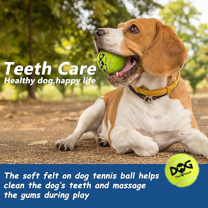 Tennis Balls for Small Dogs Pack of 12 Colorful Easy Catching Pet Toy Balls (2.0inch-4colors)