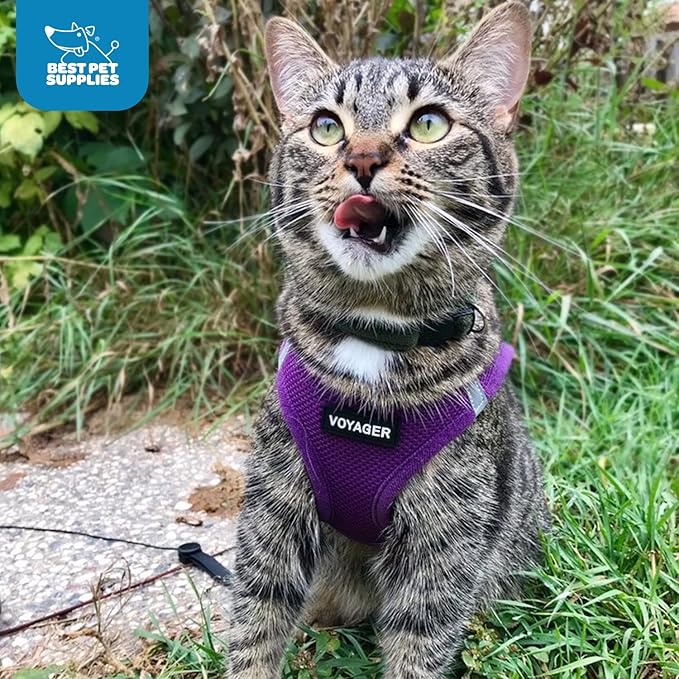 Voyager Step-in Air Dog Harness - All Weather Mesh, Reflective, No Pull Harness for Small, Medium Dogs, Cats - Secure with Hook & Loop Fastener, Buckle, Double D-Rings - Purple, S