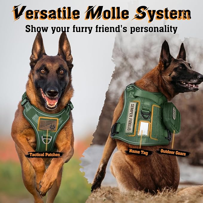 rabbitgoo Dog Harness Small Sized No Pull, Tactical Service Dog Vest with Molle and Control Handle, Adjustable and Reflective Military Pet Harness for Easy Walking and Training, Green, S