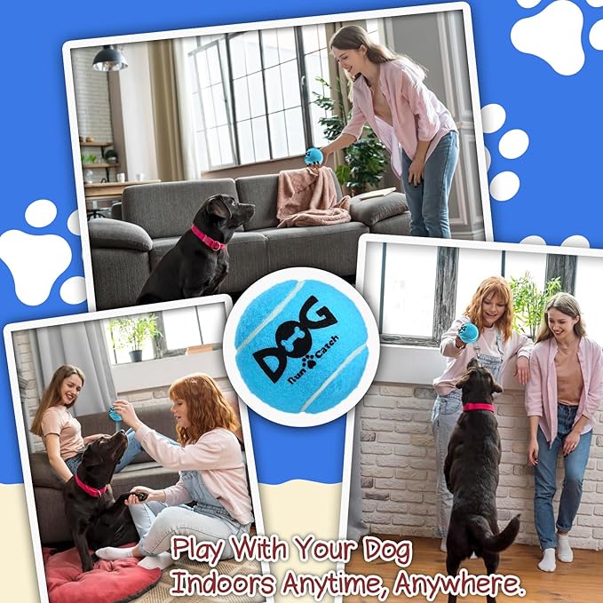 Squeaky Tennis Balls for Dogs Colorful Easy Catching Pet Dog Balls 50 Pack (2.5inch-6colors)