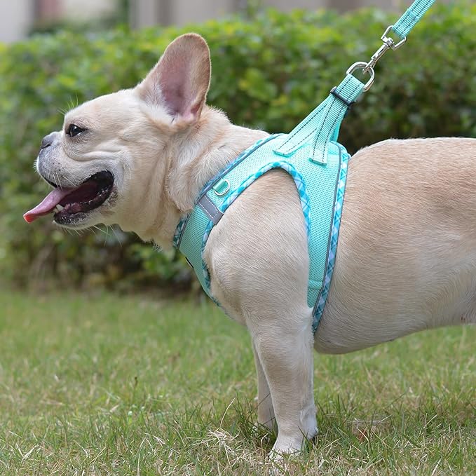 Mercano Soft Mesh Dog Harness and Leash Set, No-Chock Step-in Reflective Breathable Lightweight Easy Walk Escape Proof Vest Harnesses with Safety Buckle for Small Medium Dogs, Cats (Light Green, S)