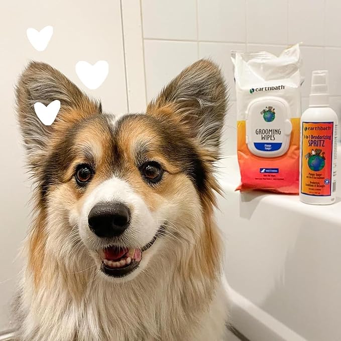 earthbath, Mango Tango Grooming Wipes - Dog Wipes for Paws and Butt, Best Pet Wipes for Dogs & Cats, Made in USA, Cruelty-Free Dog Cleaning Wipes, Removes Dirt & Dander - 100 Count (1 Pack)