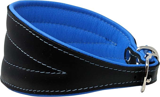 Real Leather Extra Wide Padded Tapered Dog Collar Glossy Black Greyhound Saluki Deerhound Lurcher Whippet Dachshund (16.25"-18.75" Neck; 3" Wide, Blue)