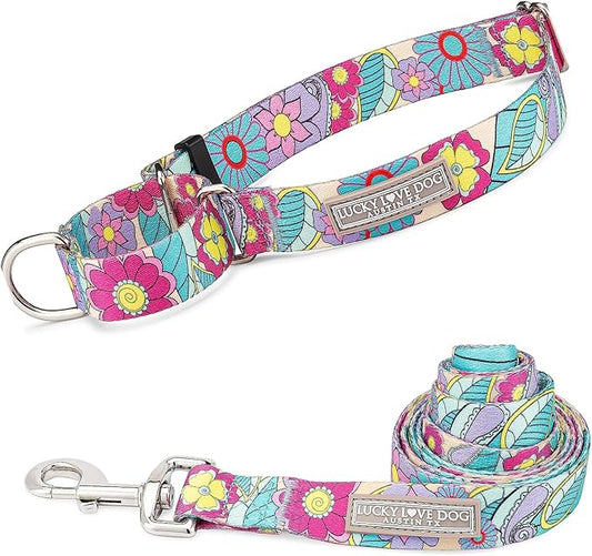 Lucky Love Dog Martingale Collar and Leash Set, Premium No Slip Martingale Collar for Dogs, Great for Whippets, Greyhounds, and More (Caroline, Medium - Combo)