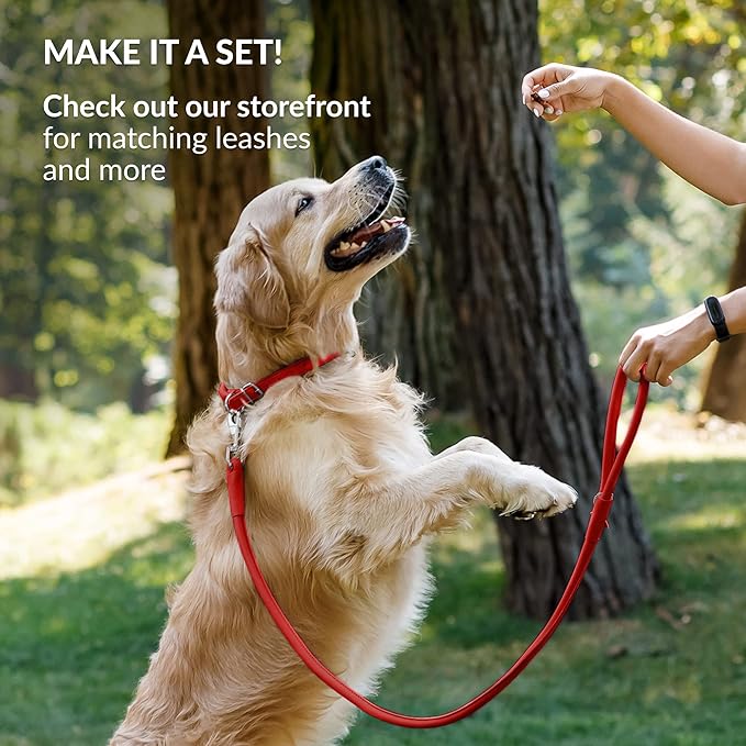 CollarDirect Rolled Leather Dog Collar, Soft Padded Round Puppy Collar, Handmade Genuine Leather Collar Dog Small Large Cat Collars 13 Colors (6-7 Inch, Red Smooth)