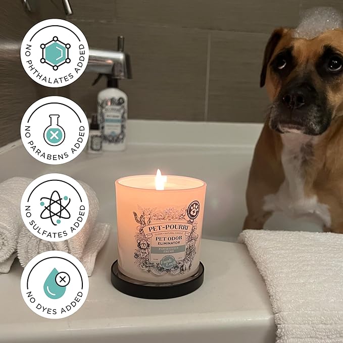 Pet-Pourri Pawsitively Fresh Pet Deodorizer Candle – Pet Safe Plant Based Ingredients & Wax – Vet Approved – Aromatherapy & Air Freshener for Pet Odor – Scented with Pineapple, Jasmine, & Pear