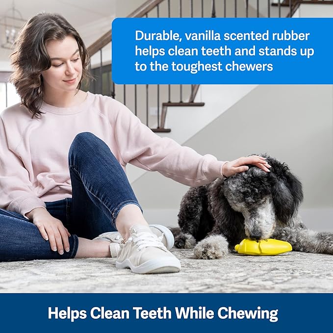 PetSafe Frosty Cone Dog Toys – Fill and Freeze Treat Holding Chew Toy – BPA Free Rubber – French Vanilla Scented – Interactive Pet Puzzle for Boredom or Separation Anxiety