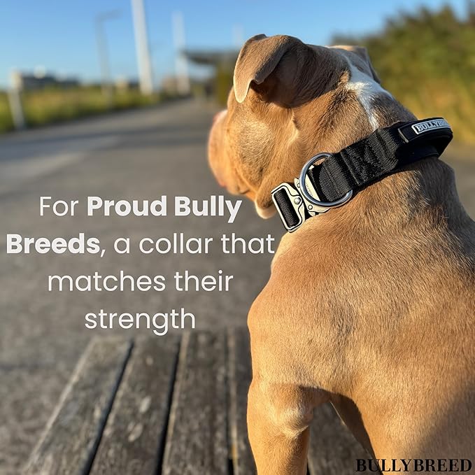 BULLYBREED Premium Dog Colar with Handle, Heavy Duty Dog Collar, Tactical Dog Collar, Quick-Release Metal Buckle, Thick Dog Collar, Dog Collar for Medium Dogs, Dog Collar for Large Dogs (Green, M)