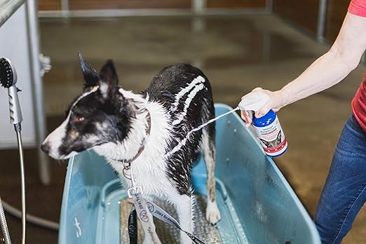 Vetericyn FoamCare Medicated Dog Shampoo - Instant Foaming, Spray-On Hypoallergenic Shampoo, Medicated Formula for Sensitive Skin, Safe for Dogs and Cats. 16 Ounce