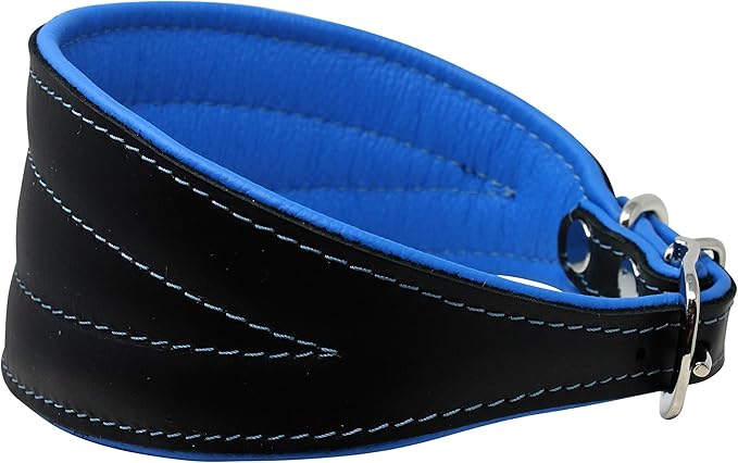 Real Leather Extra Wide Padded Tapered Dog Collar Glossy Black Greyhound Saluki Deerhound Lurcher Whippet Dachshund (16.25"-18.75" Neck; 3" Wide, Blue)