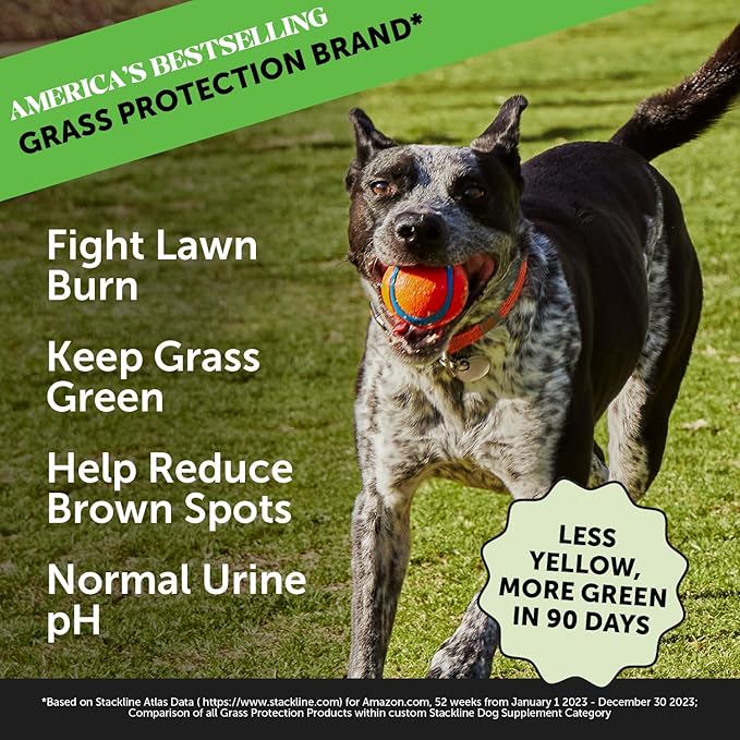 Pet Honesty Grass Green - Pee Grass Spot Saver Caused by Dog Urine, Gut Health Probiotics, Dog Urine Neutralizer for Lawn, Grass Burn Spot Chews, Cranberry, Apple Cider Vinegar, Dog Rock (Turkey 90ct)