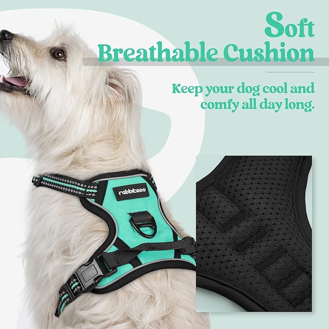 rabbitgoo Dog Harness, No-Pull Pet Harness with 2 Leash Clips, Adjustable Soft Padded Dog Vest, Reflective No-Choke Pet Oxford Vest with Easy Control Handle for Small Dogs, Turquoise, XS