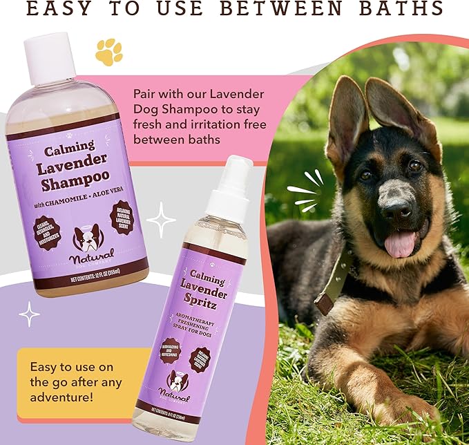 Natural Dog Company Calming Lavender Spritz for Dogs, 8oz – Deodorizing & Moisturizing, Soothes Skin, Conditions Coat, Hypoallergenic, Alcohol-Free, USA Made