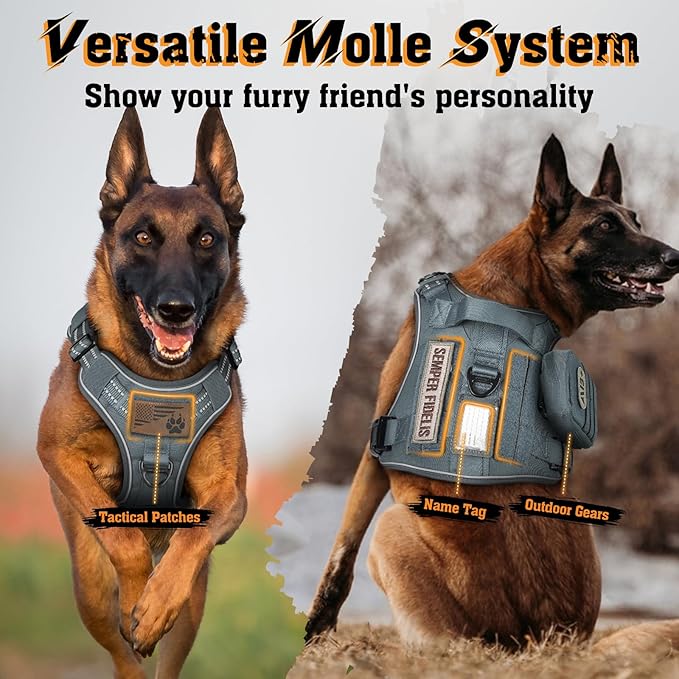 rabbitgoo Dog Harness Small Sized No Pull, Tactical Service Dog Vest with Molle and Control Handle, Adjustable and Reflective Military Pet Harness for Easy Walking and Training, Grey, S