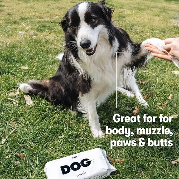 DOG by Dr Lisa - Dog Wipes - Plant-Based, Natural Bathing Wipes for Dogs - Made from 100% Compostable Bamboo - Vet-Created - Vegan, Non-Toxic - 240 Count
