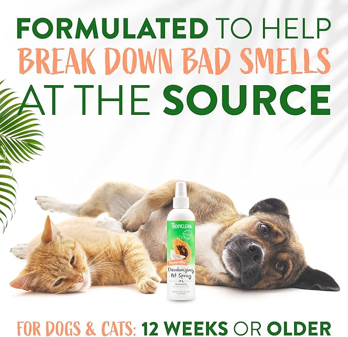 TropiClean Dog Perfume, Long Lasting Papaya Cologne, Deodorizing Spray for Smelly Dogs, After Bath Detangling Spray with Vitamin E, Safe for Cats, 8oz.