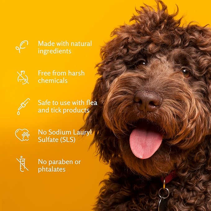 Arm & Hammer for Pets Tearless Puppy Shampoo | Gentle & Effective Tearless Shampoo for All Dogs & Puppies | Coconut Water Scent Your Dog Will Love, 20 Ounces - 6 Pack