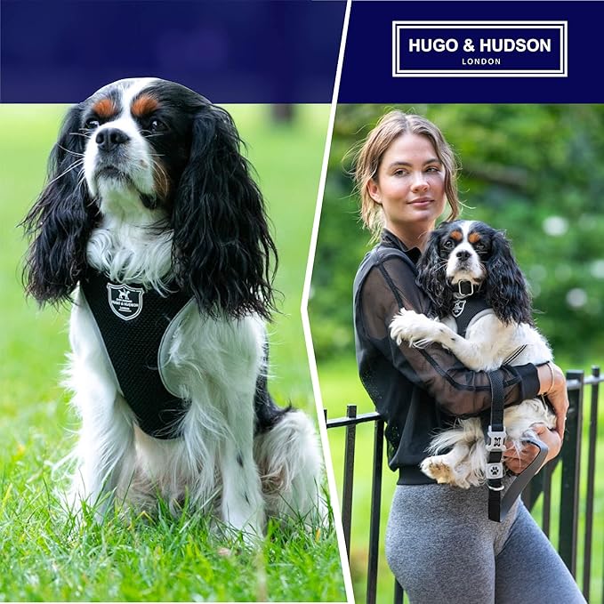 HUGO & HUDSON Dog Harness No-Pull Pet Harness Adjustable Quick Dry Mesh Padded Vest, Black, L