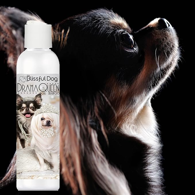 The Blissful Dog Chihuahua Drama Queen Dog Shampoo, 8 oz.