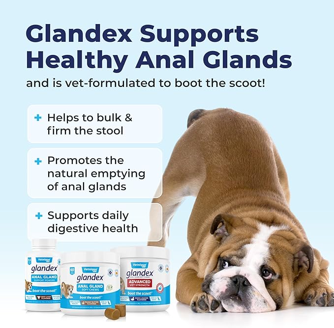Glandex Anal Gland Soft Chew Treats with Pumpkin for Dogs Digestive Enzymes, Probiotics Fiber Supplement for Dogs Boot The Scoot (Pork Liver Chews, 30ct)