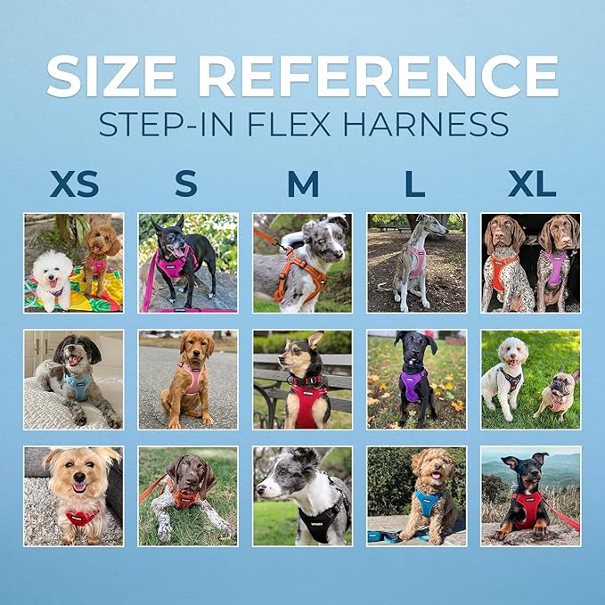 Best Pet Supplies Voyager Adjustable Dog Vest Harness Breathable No Pull Harness for Small, Medium, Large Dogs, Heavy Duty Harness for Walking, Jogging, Easy Step-in, Reflective Stripes - (Black), S