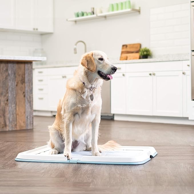 Bundle of IRIS USA Pee Pad Holder, XL Dog Pad Holder with Secured Latches, Non-Skid Feet, Leak Protection + IRIS USA 8-Panel 36" Metal Dog Playpen, Indoor/Outdoor, Foldable, Black