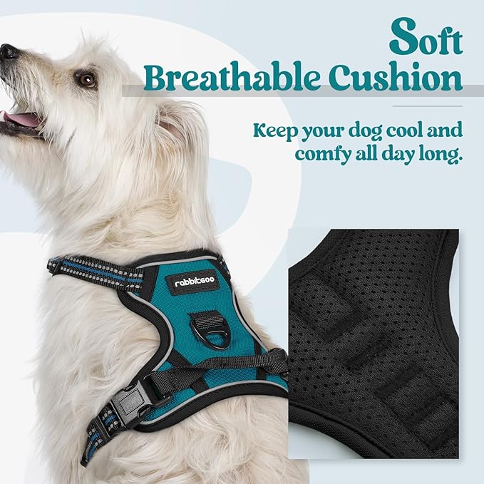 rabbitgoo Dog Harness, No-Pull Pet Harness with 2 Leash Clips, Adjustable Soft Padded Dog Vest, Reflective No-Choke Pet Oxford Vest with Easy Control Handle for Small Dogs, Blue Coral, XS