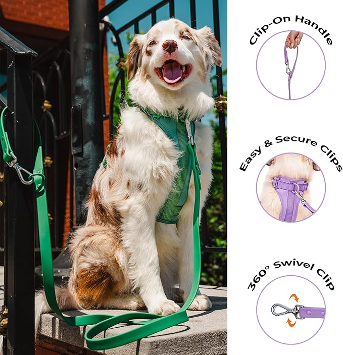 Dog Harness and Leash Set | BearBone No Pull Dog Harness and Waterproof Dog Collar and Leash Set | Heavy Duty Dog Harness, Leash and Collar | Leash, Collar and Harness Large Size Dog (Lilac, Large)