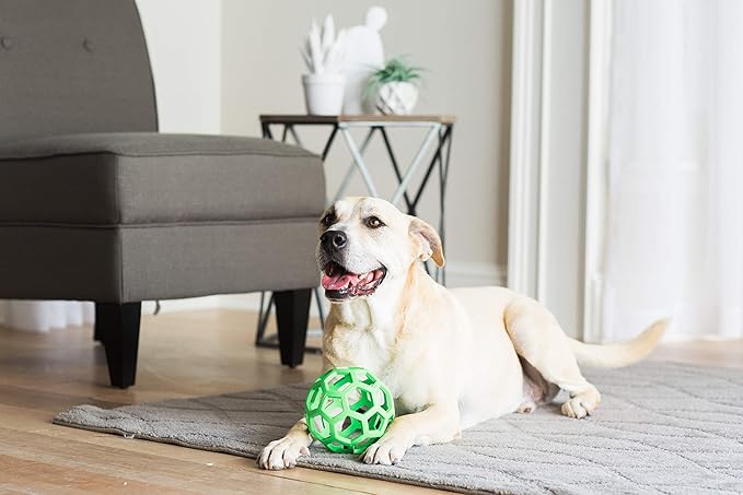 JW Pet Hol-ee Roller Dog Toy Puzzle Ball, Natural Rubber, Large (5.5 Inch Diameter), Colors May Vary