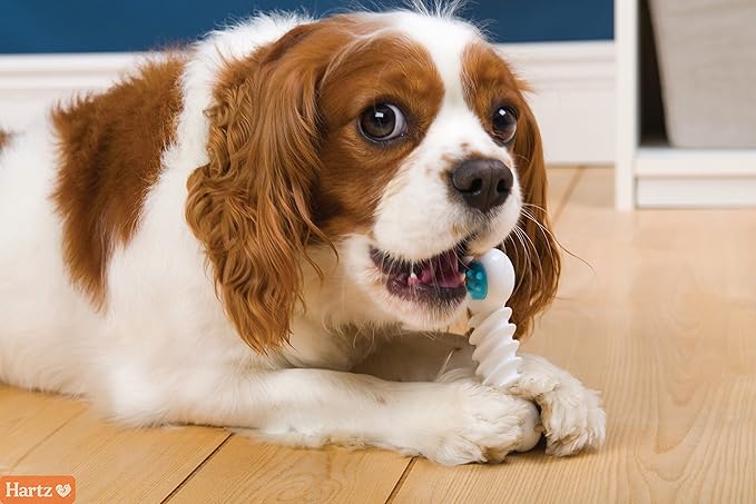 Hartz Chew ‘n Clean Twisty Bone Dog Chew Toy, Bacon Scented for Moderate Chewers, Extra Small