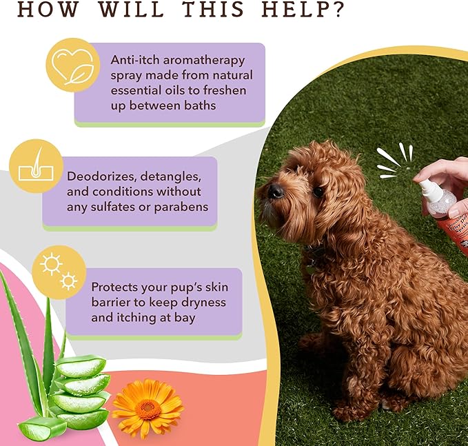 Natural Dog Company Itchy Dog Spritz - Long Lasting Dog Perfume, 8 Oz Bottle