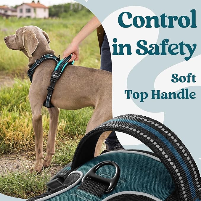 rabbitgoo Dog Harness Small Sized, No Pull Pet Harness with 3 Buckles, Adjustable Soft Padded Dog Vest with Instant Control Handle, Easy Walking Reflective Pet Vest for Small Dogs, Blue Coral, S