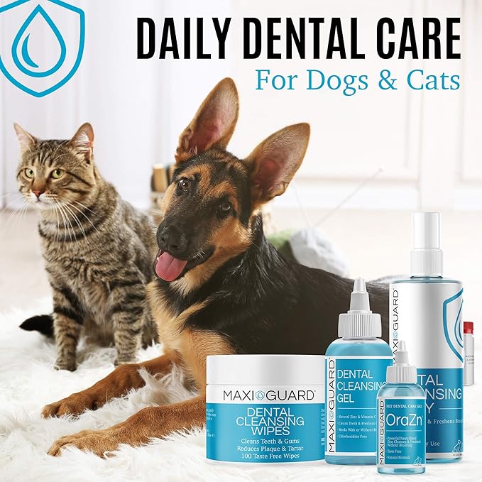 Dental Cleansing Wipes for Dogs, Cats, Horses and Companion Animals (100 Wipes), Light Blue/White
