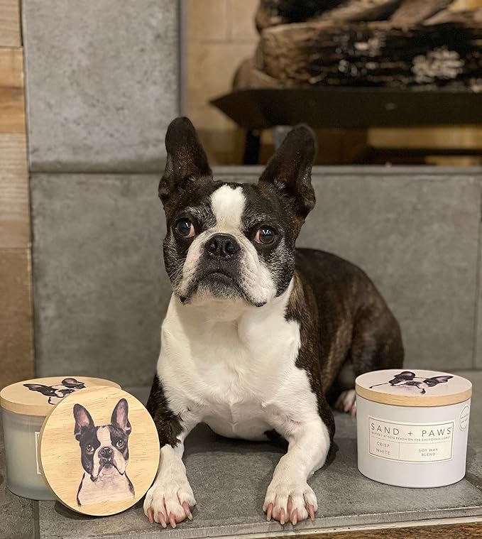 Sand + Paws Scented Candle - Amber & Fig - Additional Scents and Sizes –Luxurious Air Freshening Jar Candles Neutralize pet Odors and Enhance Home décor – 100% Cotton Lead-Free Wicks - 12 oz