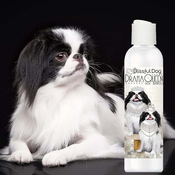 The Blissful Dog Japanese Chin Drama Queen Dog Shampoo, 16 oz.