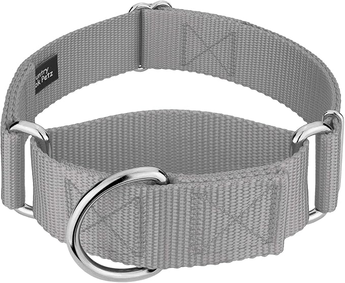 Country Brook Petz 1 1/2 Inch Martingale Heavy Duty Nylon Adjustable Dog Collar for Small, Medium, Large Breeds - Vibrant 17 Color Selection (Silver, Extra Large)