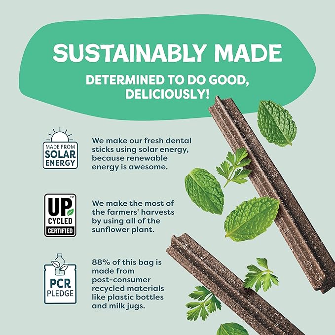 Shameless Pets Dental Treats for Dogs, Variety (4-Pack) - Healthy Teeth Cleaning Sticks for Fresh Breath - Dog Bones Dental Chews Free from Grain, Corn & Soy