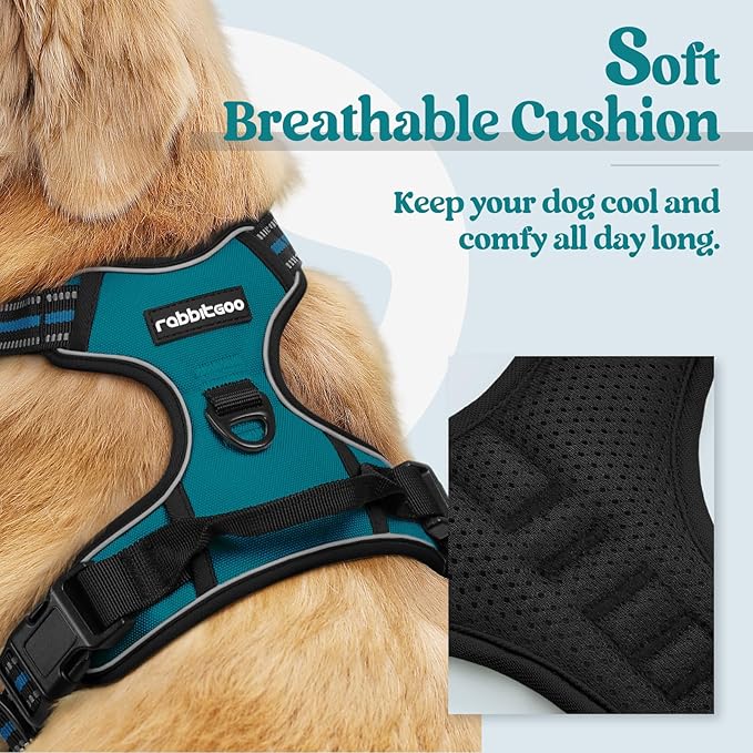 rabbitgoo Dog Harness, No-Pull Pet Harness with 2 Leash Clips, Adjustable Soft Padded Dog Vest, Reflective No-Choke Pet Oxford Vest with Easy Control Handle for Small Dogs, Blue Coral, S