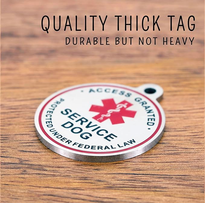 Service Dog ID Tag for Small & Large Dogs - Emotional Support ESA Medical Alert Collar Accessory - Durable Stainless Steel Service Animal Tag - Classic Therapy Dog Service Tag in Silver Large
