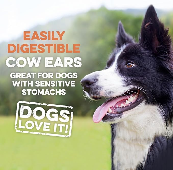 Premium Cow Ears For Dogs, Thick Cut & All-Natural Half Ears, 100% Grass Fed Beef, No Additives Or Hormones, Safe Rawhide Alternative, Great Dog Treat Alternative To Pig Ears, Bully Sticks, Dog Bones