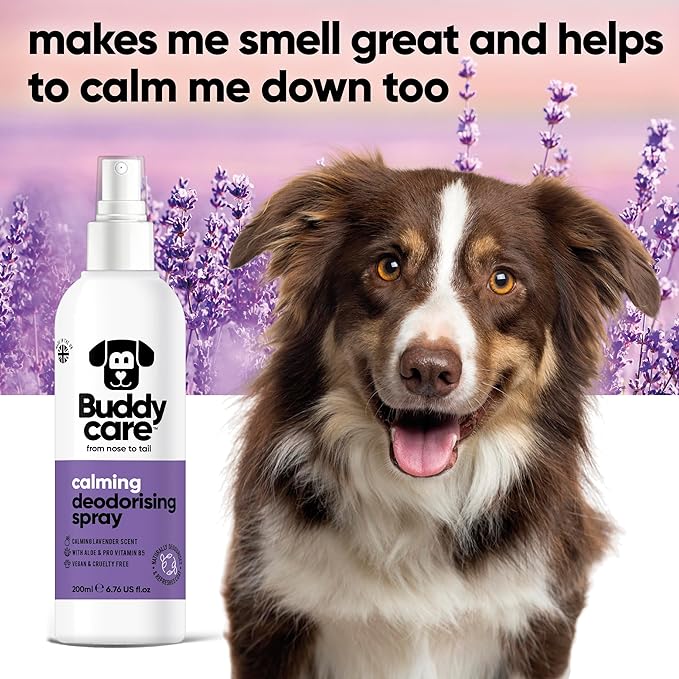 Dog Deodorising Spray - Deodorising Spray for Dogs - With Aloe Vera and Pro Vitamin B5 (Lavender, 200ml)