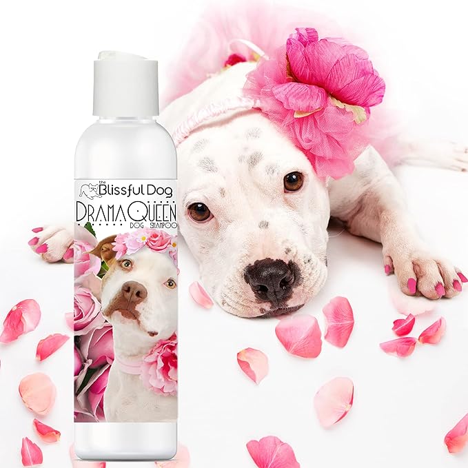 The Blissful Dog Staffordshire Terrier Drama Queen Dog Shampoo, 4 oz.