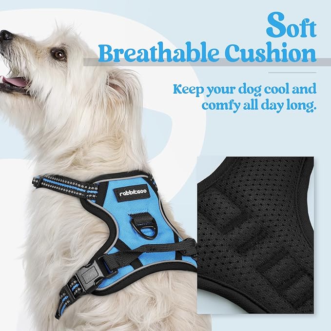 rabbitgoo Dog Harness, No-Pull Pet Harness with 2 Leash Clips, Adjustable Soft Padded Dog Vest, Reflective No-Choke Pet Oxford Vest with Easy Control Handle for Small Dogs, Blue, XS