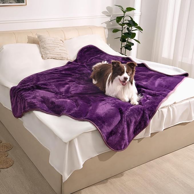 gogobunny Waterproof Bed Blanket, Reversible Sherpa Fleece Throw Blanket for Dog Puppy Cat, Furniture Cover Protects Bed Couch Sofa from Liquid Pee and Pet Fur (Dark Purple, 50x60 inches)
